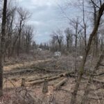 municipal-board-upholds-city-of-winnipeg-decision-rejecting-lemay-forest-plan
