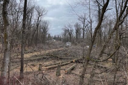 municipal-board-upholds-city-of-winnipeg-decision-rejecting-lemay-forest-plan