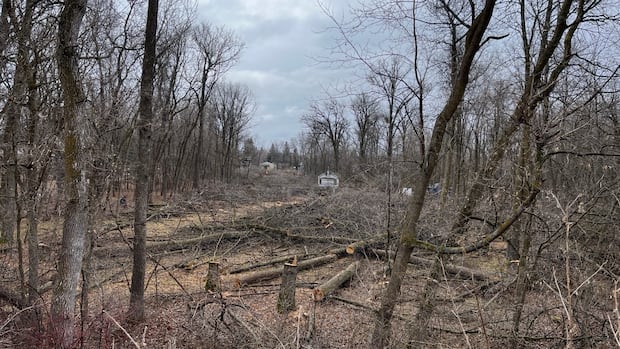 municipal-board-upholds-city-of-winnipeg-decision-rejecting-lemay-forest-plan