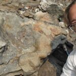 ankylosaur-footprints-from-bc.-and-alberta-are-first-of-their-kind-in-the-world
