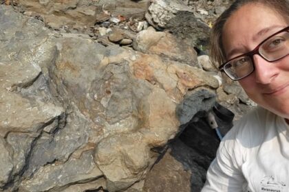 ankylosaur-footprints-from-bc.-and-alberta-are-first-of-their-kind-in-the-world