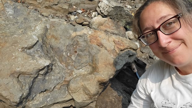 ankylosaur-footprints-from-bc.-and-alberta-are-first-of-their-kind-in-the-world