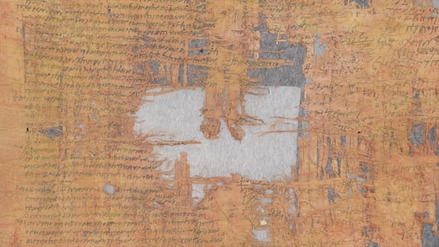 1,900-year-old-roman-papyrus-details-elaborate-tax-evasion-scheme,-research-suggests