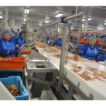 opportunity-presented:-nl-government-makes-new-snow-crab-primary-processing-licences-available