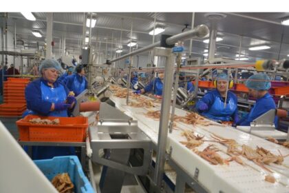 opportunity-presented:-nl-government-makes-new-snow-crab-primary-processing-licences-available