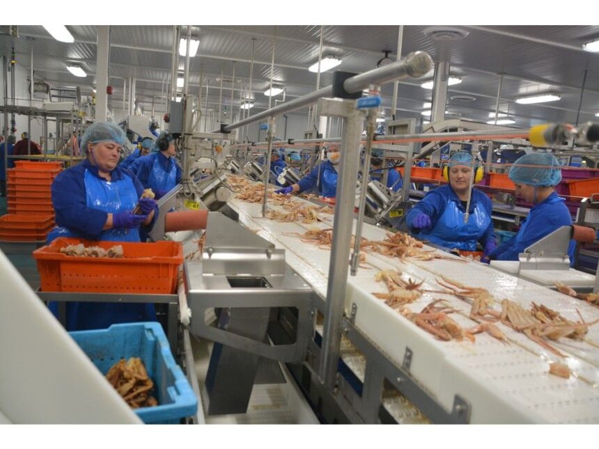 opportunity-presented:-nl-government-makes-new-snow-crab-primary-processing-licences-available