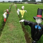 this-atmospheric-trend-is-devastating-crops-(and-no-ones-talking-about-it)