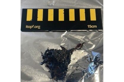 clumps-of-concern:-number-of-tar-balls-found-near-western-nl-shipwreck-now-at-half-a-dozen