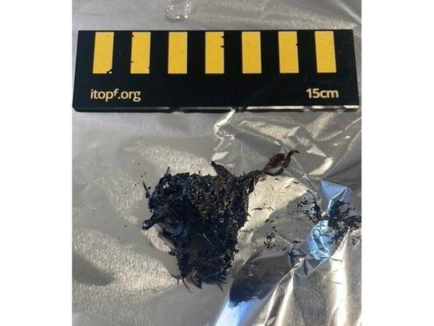 clumps-of-concern:-number-of-tar-balls-found-near-western-nl-shipwreck-now-at-half-a-dozen