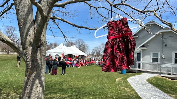 pei.-project-gathers-names-to-honour-missing-and-murdered-indigenous-women-and-girls