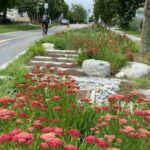 how-pretty,-spongy-public-gardens-make-way-for-more-housing