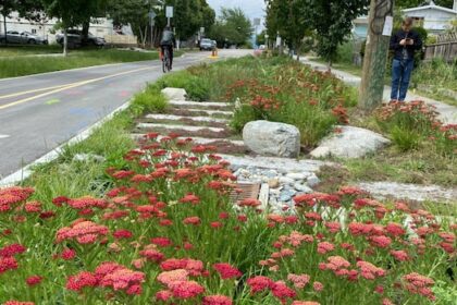 how-pretty,-spongy-public-gardens-make-way-for-more-housing