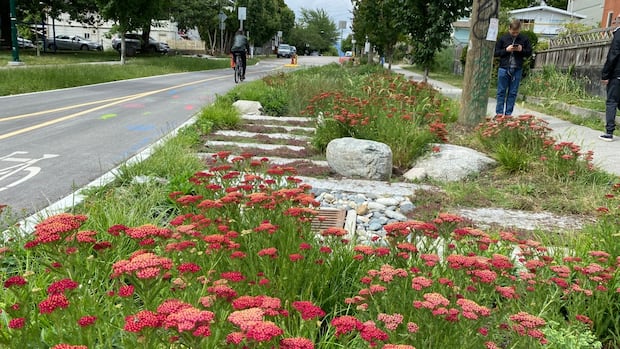 how-pretty,-spongy-public-gardens-make-way-for-more-housing