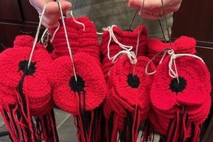 beth-clinton:-crafters-have-lots-of-options-at-charlottetown-library-learning-centre