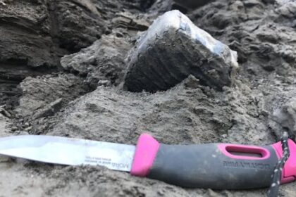 ancient-tooth-found-near-old-crow,-yukon,-belongs-to-earliest-woolly-mammoth-in-north-america