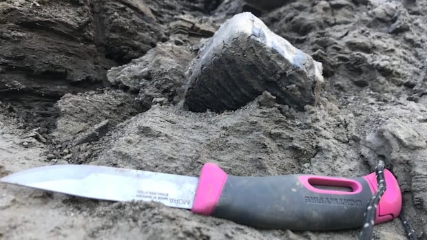 ancient-tooth-found-near-old-crow,-yukon,-belongs-to-earliest-woolly-mammoth-in-north-america