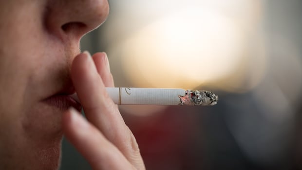 illegal-cigarette-seizures-are-up-in-ns.-while-tobacco-tax-revenues-drop