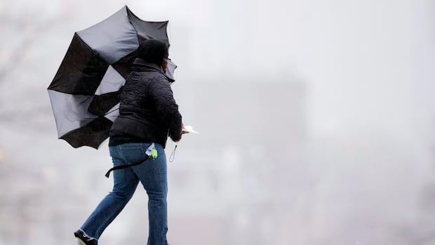 weather-warnings-in-place-for-northeastern-nova-scotia,-parts-of-cape-breton