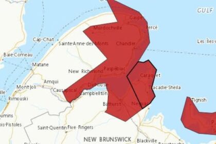thousands-without-power-in-nb.-as-wind-warnings-continue