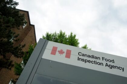manitobans-warned-to-watch-for-frozen-pastries-recall-over-salmonella-concerns