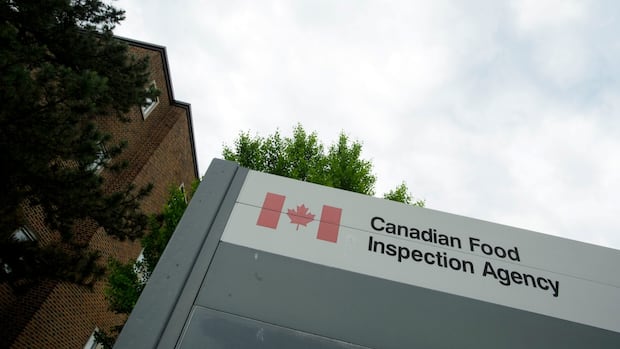 manitobans-warned-to-watch-for-frozen-pastries-recall-over-salmonella-concerns
