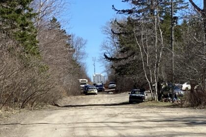 kings-county-rcmp-expect-to-spend-days-searching-property-where-firearms-found