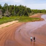 nature-group-takes-action-to-protect-large-chunk-of-coastal-forest-in-murray-river-area