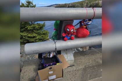 community-members-continue-search-for-4-year-old-boy-who-fell-into-guysborough-river
