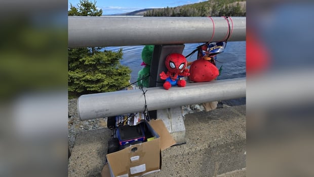community-members-continue-search-for-4-year-old-boy-who-fell-into-guysborough-river