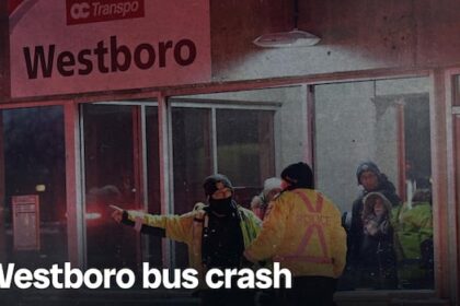 oc-transpo-supports-using-more-trackers-to-monitor-bus-driver-speeds,-inquest-hears