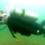 kingston-diving-community-mourns-death-of-local-instructor