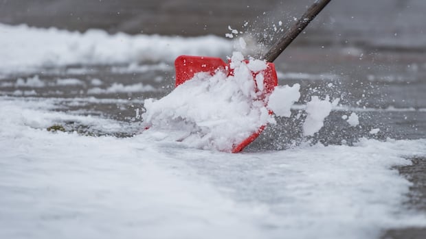 eastern-sask.-under-snowfall-warning,-with-poor-driving-conditions-expected