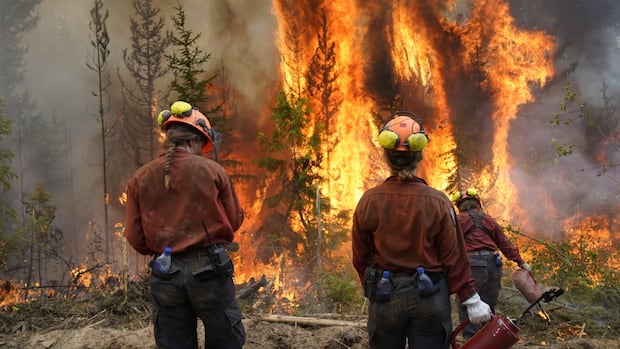drought-persists-in-some-parts-of-bc.-as-crews-gear-up-for-wildfire-season