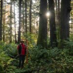 haida-gwaii-court-ruling-against-forestry-giant-is-a-win-for-indigenous-rights