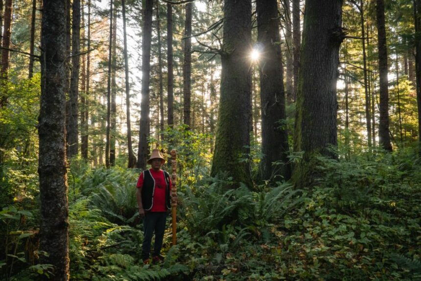 haida-gwaii-court-ruling-against-forestry-giant-is-a-win-for-indigenous-rights