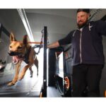 new-halifax-business-running-with-the-dogs