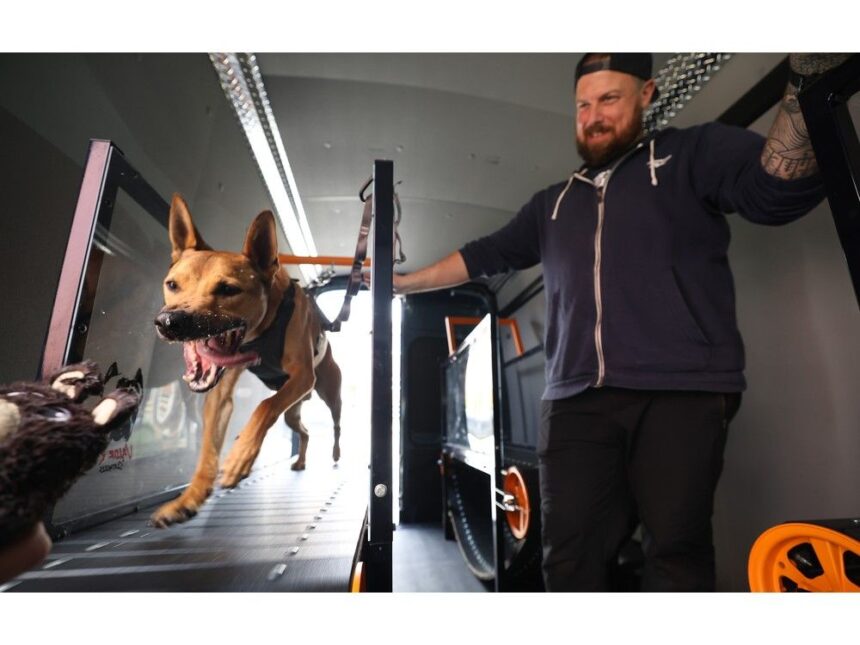 new-halifax-business-running-with-the-dogs