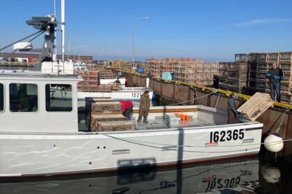 spring-lobster-season-setting-day-will-be-friday-in-2-lfas-off-pei.