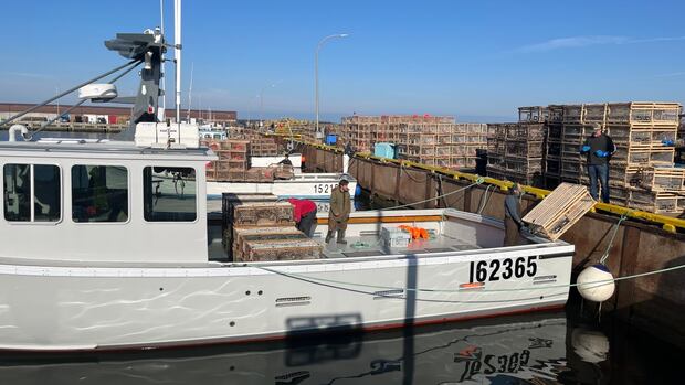 spring-lobster-season-setting-day-will-be-friday-in-2-lfas-off-pei.