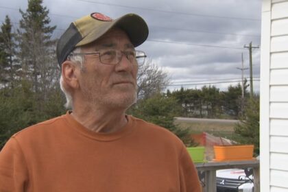 high-levels-of-‘forever-chemicals’-found-in-wells-of-9-hazelbrook-homes