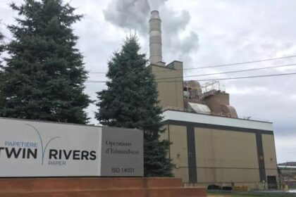 nb.-power-being-forced-to-offer-larger-rate-discounts-to-forestry-mills