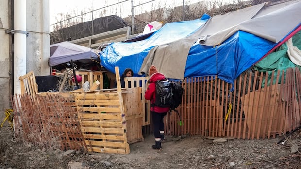 poilievre-promises-to-let-police-dismantle-encampments,-arrest-occupants