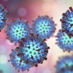 2-new-measles-cases-confirmed-in-southern-manitoba