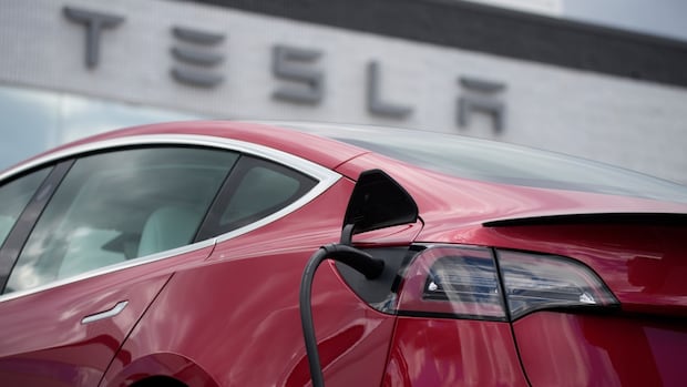 manitoba-handed-out-$1.3m-in-tesla-rebates-before-vehicles-were-pulled-from-ev-program