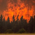 sask.-public-safety-agency-forecasts-‘average’-wildfire-season-after-destructive-2024-season