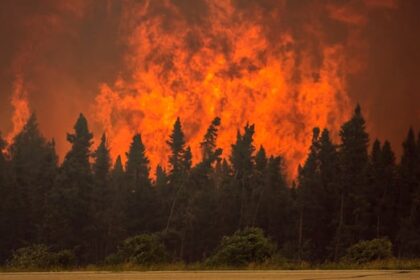 sask.-public-safety-agency-forecasts-‘average’-wildfire-season-after-destructive-2024-season