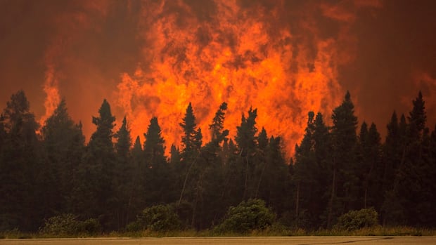 sask.-public-safety-agency-forecasts-‘average’-wildfire-season-after-destructive-2024-season