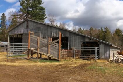 the-farming-factor-and-the-battle-for-kings-hants