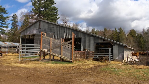 the-farming-factor-and-the-battle-for-kings-hants