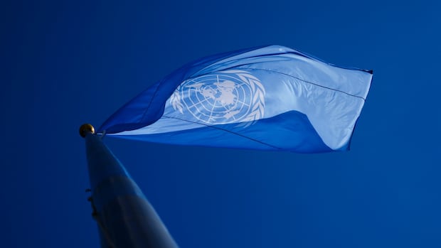 tsilhqot’in-nation-at-un-calls-for-government-help-battling-toxic-drug-crisis
